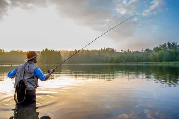 Choisir le bon appât pour la pêche en lac et rivière : guide pratique