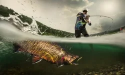 Les meilleurs leurres pour la pêche en lac et rivière : le guide ultime